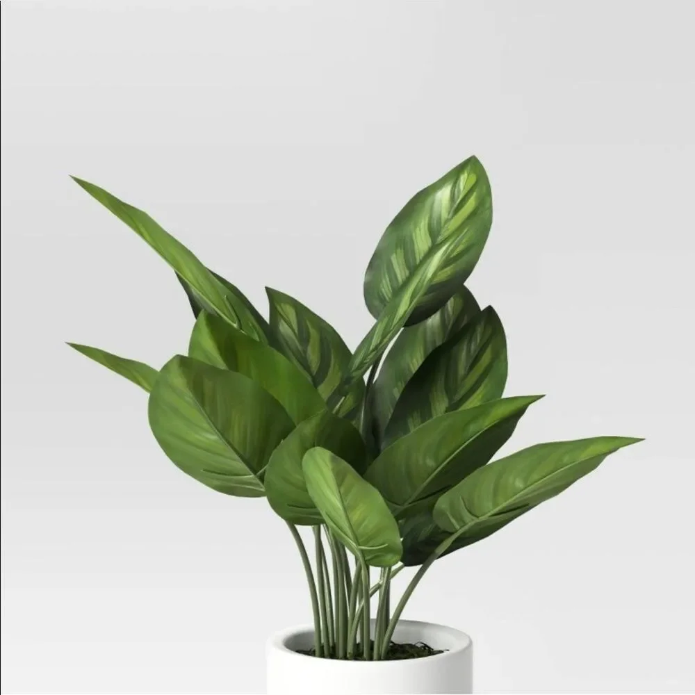 THRESHOLD NWT green plant in stand -19x15x15